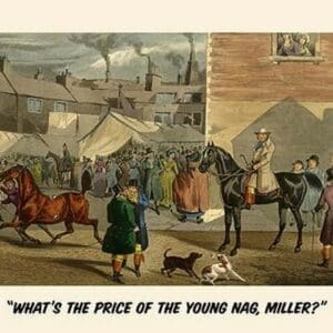 What's the Price of the Young Nag