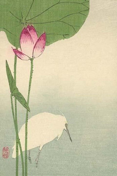 White heron and lotus by Baison - Art Print