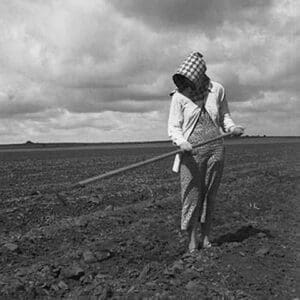 Wife of Texas tenant farmer. by Dorothea Lange - Art Print