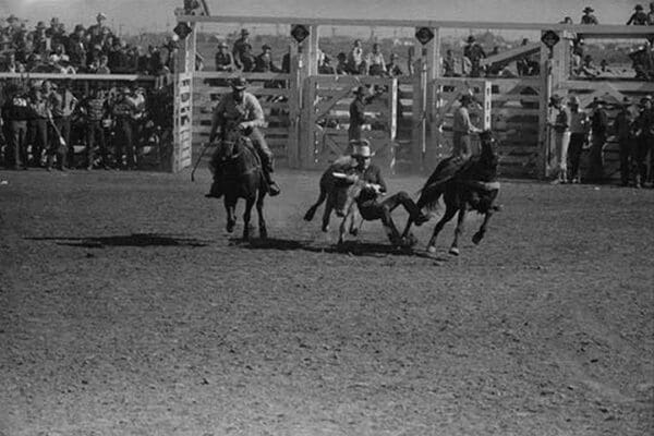 Wild Steer Wrestling by Russell Lee - Art Print