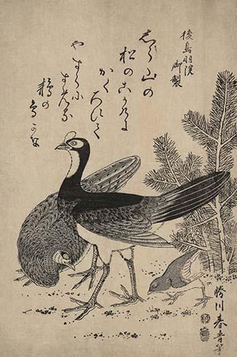 Wildfowl and pine by Katsukawa Shunsei - Art Print