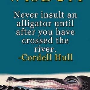 Wisdom by Cordell Hull - Art Print