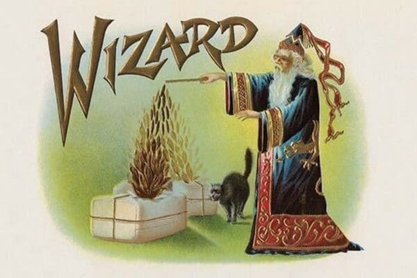 Wizard - Art Print