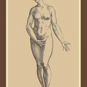 Woman by Andreas Vesalius - Art Print