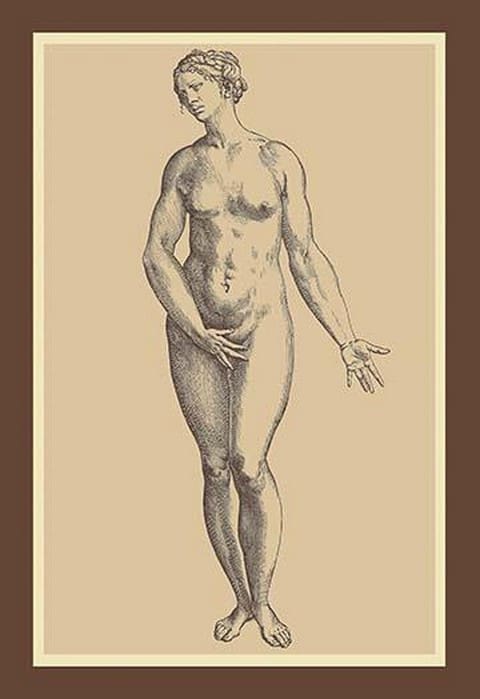 Woman by Andreas Vesalius - Art Print