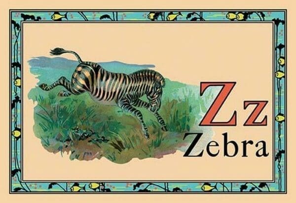 Zebra - Art Print